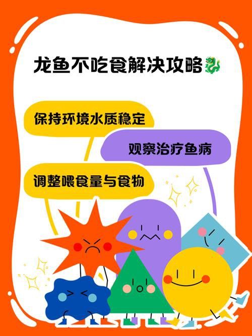 金龍魚為什么做掉眼手術(shù)后不能吃了
