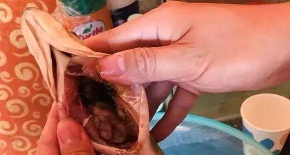 雷龍魚吃泥鰍吃不下了能死嗎