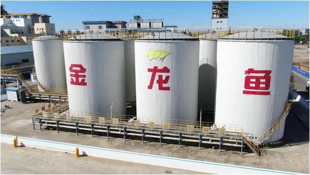 金龍魚商家打這種廣告的目的是什么意思 金龍魚商家打這種廣告的目的是什么意思 龍魚百科 第3張