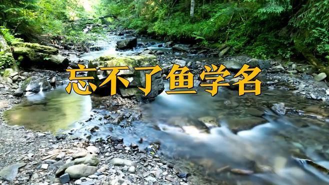 馬來西亞的忘不了魚