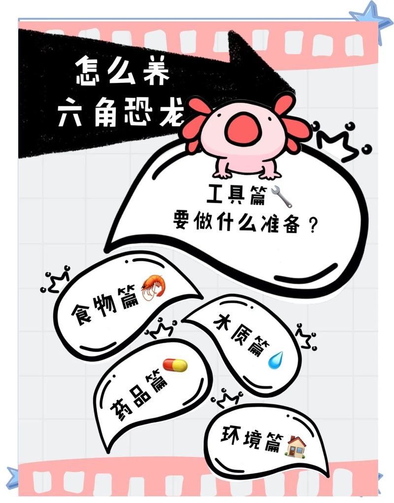 自行火化六角恐龍魚需要哪些設備？