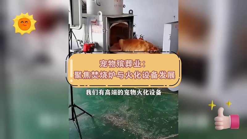 自行火化六角恐龍魚需要哪些設備？