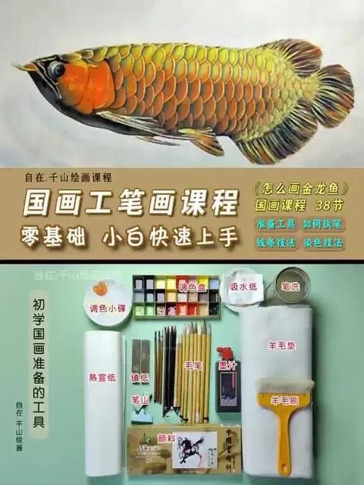 金龍魚上色