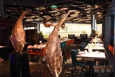 金龍魚烤魚什么意思：金龍魚健康養殖技巧，金龍魚市場價值評估