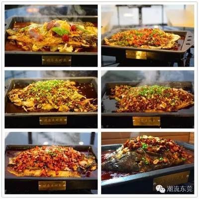 金龍魚烤魚什么意思：金龍魚健康養殖技巧，金龍魚市場價值評估