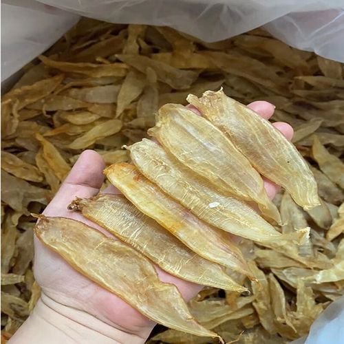 金龍魚膠哪里產的最正宗