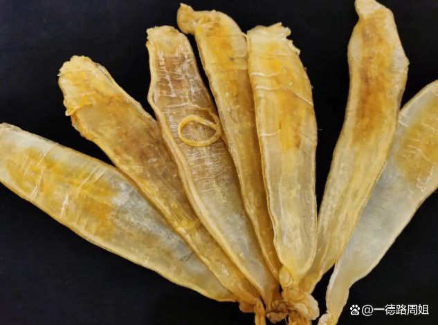 金龍魚膠哪里產的最正宗