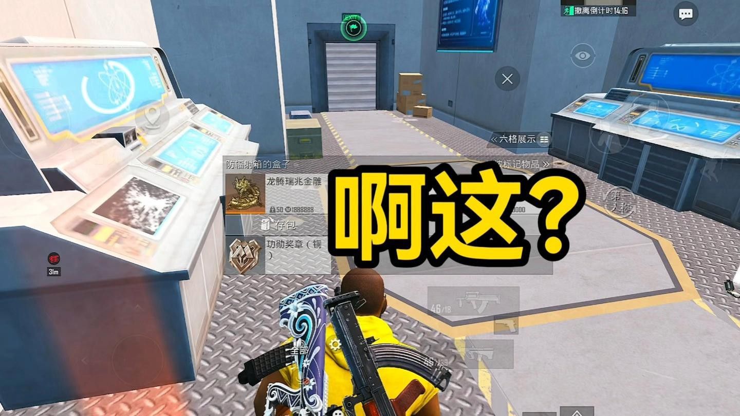 金龍魚膠哪里產的最正宗