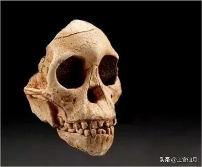 龍魚用嘴呼吸正常嗎：龍魚在呼吸時張嘴是正常現象
