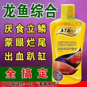 治龍魚立鱗最快的藥（治療龍魚立鱗病的藥物） 治龍魚立鱗最快的藥（治療龍魚立鱗病的藥物） 龍魚百科 第3張