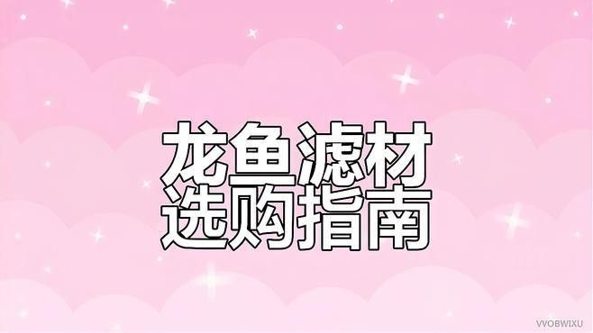 龍魚過濾要用哪些濾材比較好