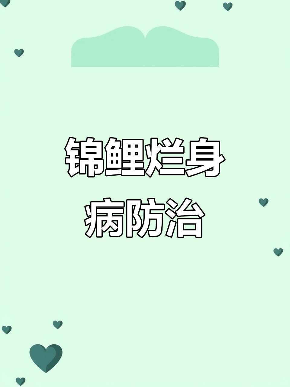 錦鯉爛身病多久能治好？