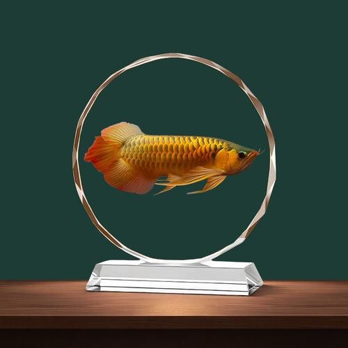 招財金龍魚價格及圖片欣賞 招財金龍魚價格及圖片欣賞 龍魚百科 第9張