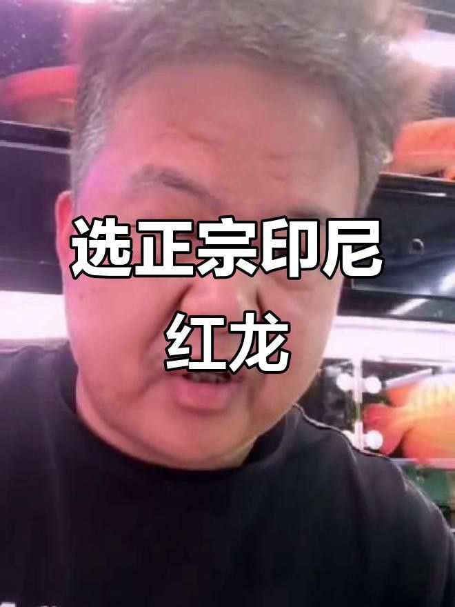 如何挑選紅龍魚幼魚? 龍魚百科 第1張 如何挑選紅龍魚幼魚? 如何挑選紅龍魚幼魚? 龍魚百科 第1張
