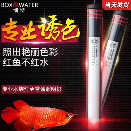 龍魚燈光系統(tǒng)有哪些選擇？