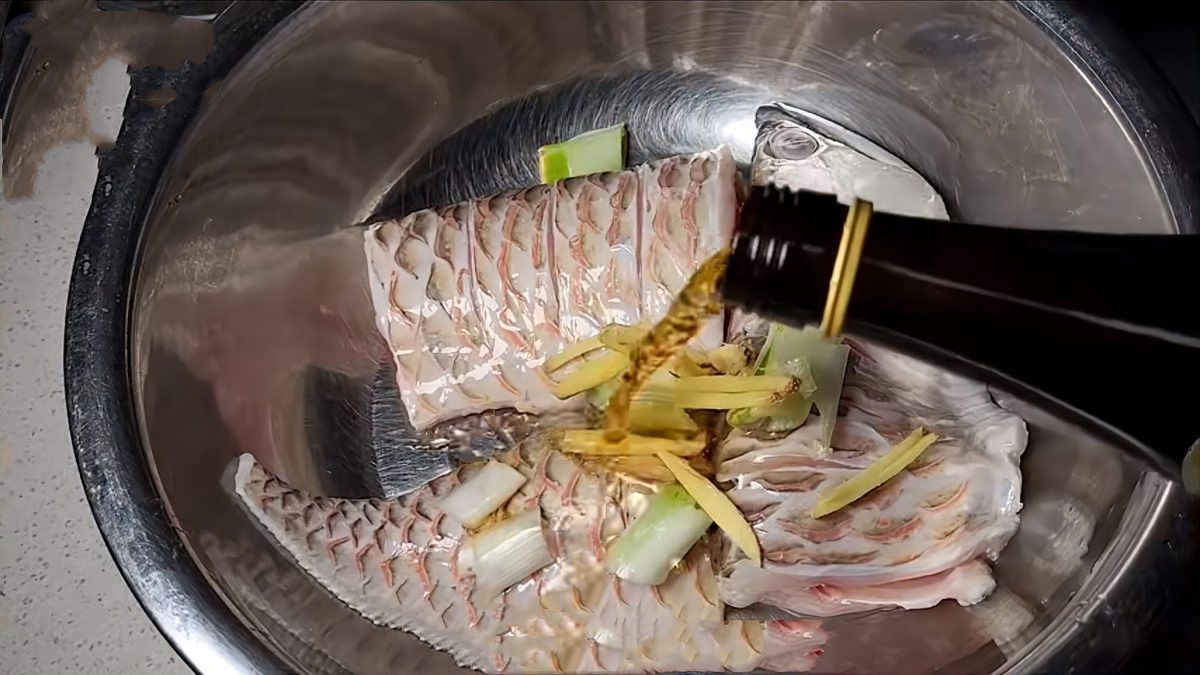 鄭州龍魚出售價格查詢