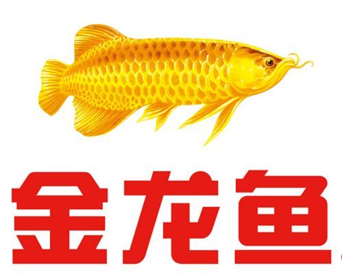金龍魚對標茅臺什么品牌，金龍魚與茅臺的區別