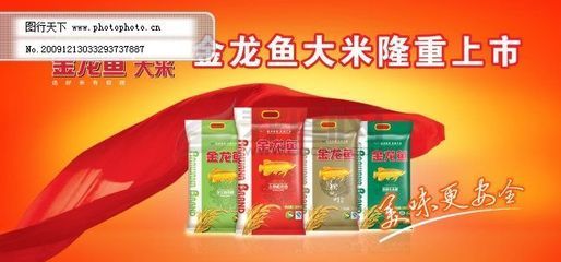 金龍魚價格表紅色的（紅色金龍魚價格表）