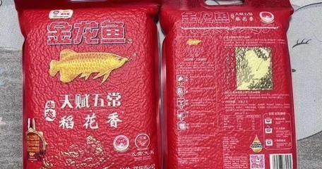 金龍魚買大還是買小的：購買金龍魚時應該綜合考慮魚的品質、飼養難度、飼養難度