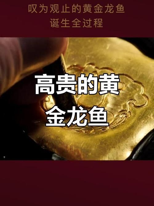 黃金龍魚圖片大全