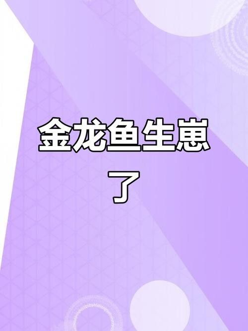 黃金龍魚圖片大全