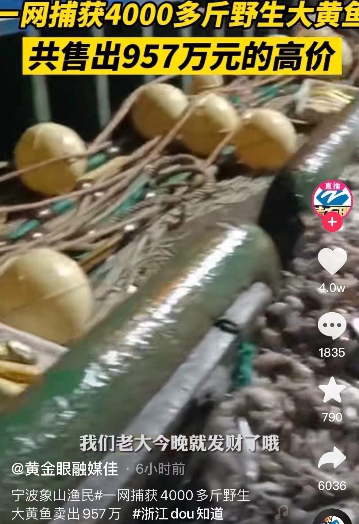 黃金龍魚圖片大全