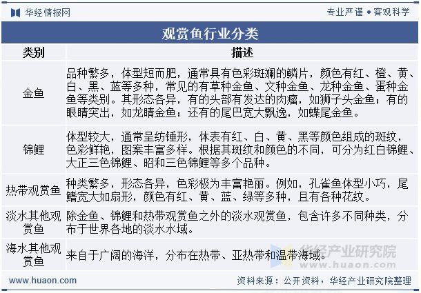 金龍魚繁殖技術的未來發展趨勢是什么？