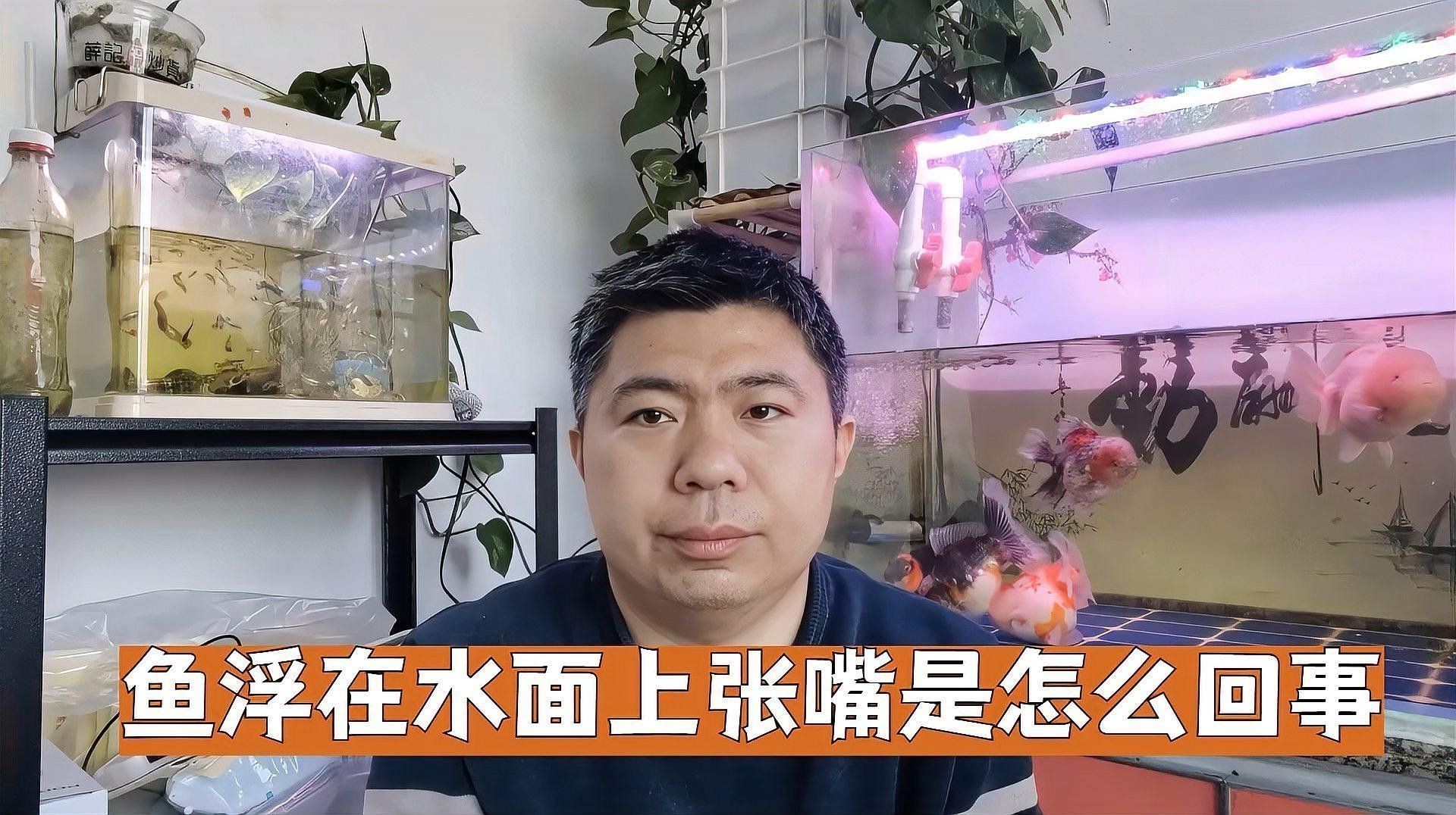 龍魚浮頭張嘴是生病了嗎？