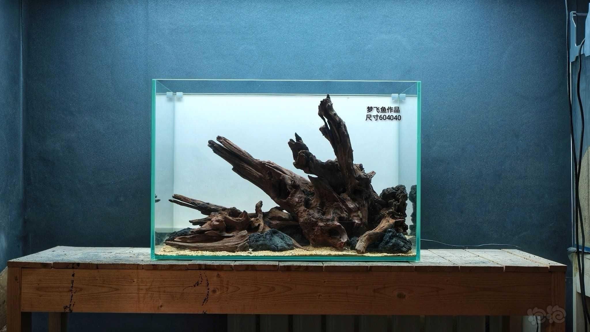 龍魚缸沉木造景圖：如何選擇適合龍魚缸沉木造景