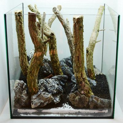 龍魚缸沉木造景圖：如何選擇適合龍魚缸沉木造景