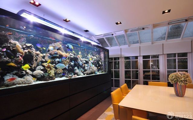 漂亮魚缸說說（魚缸與家居風(fēng)格融合）