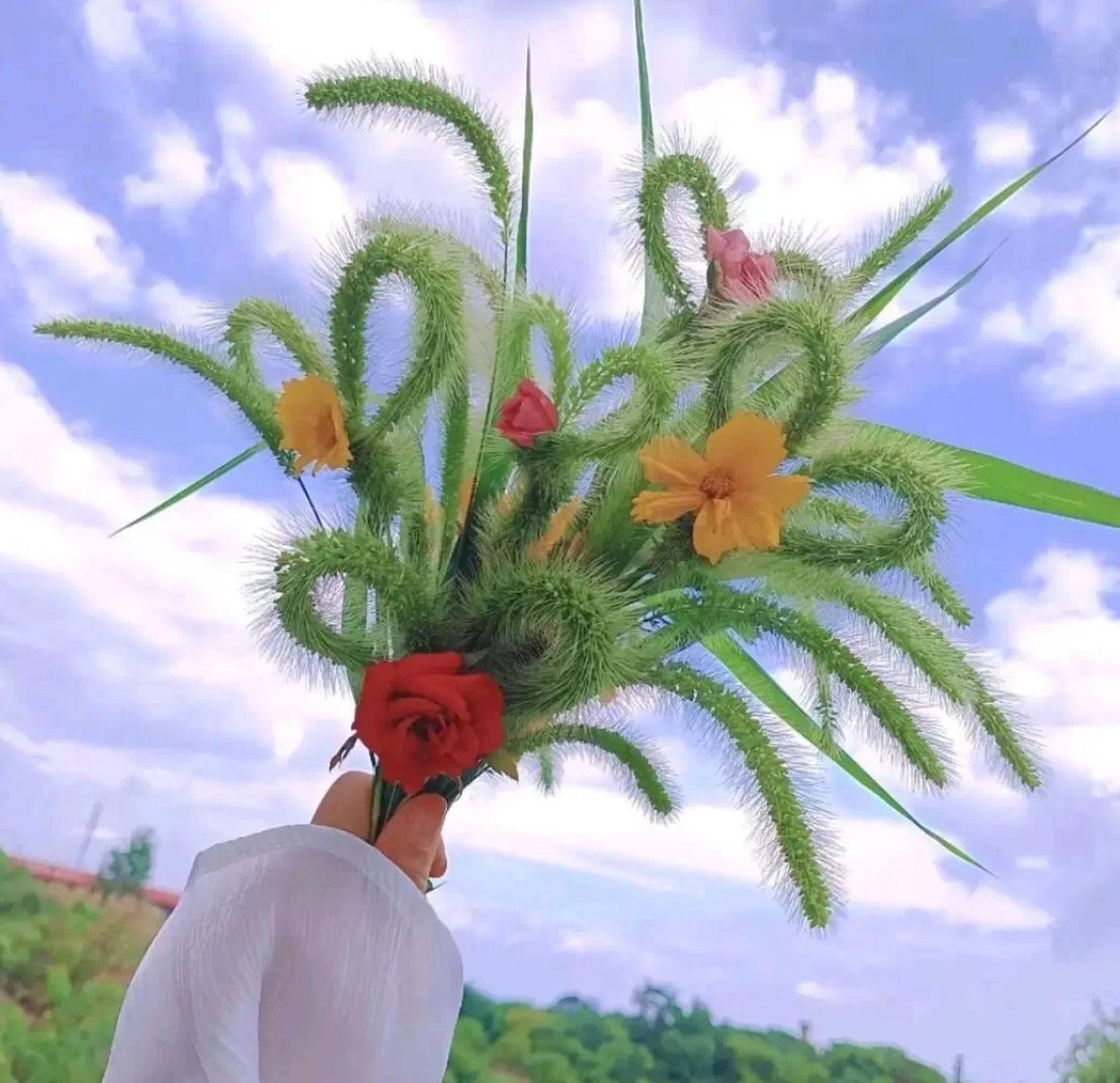 雷龍有多少個品種