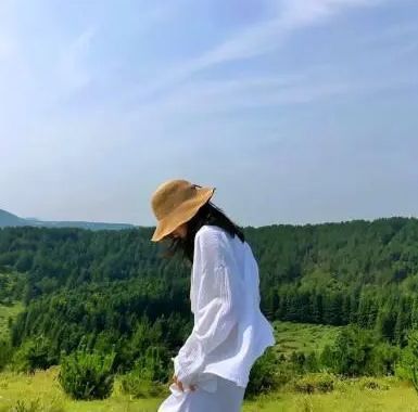 雷龍有多少個品種