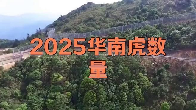 老虎現(xiàn)存數(shù)量2025年