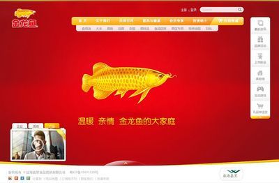 金龍魚宣傳詞怎么寫，金龍魚品牌故事介紹,