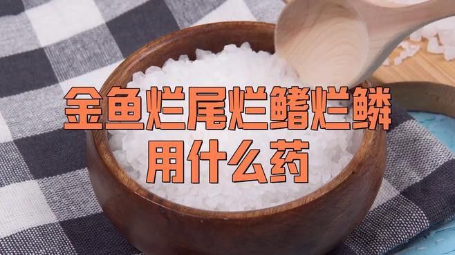 治療龍睛金魚爛尾病的方法有哪些？