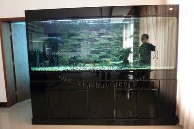 金龍魚到魚缸底什么原因：金龍魚趴缸底可能由多種原因引起