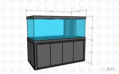 龍魚缸雙水位的必要性（龍魚缸雙水位設計有什么優勢？）