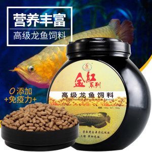 龍魚有營養嗎怎么養：養殖龍魚需要注意以下幾個方面