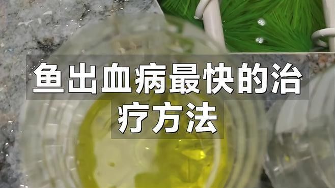 銀龍魚魚鱗發紅怎么回事兒圖片