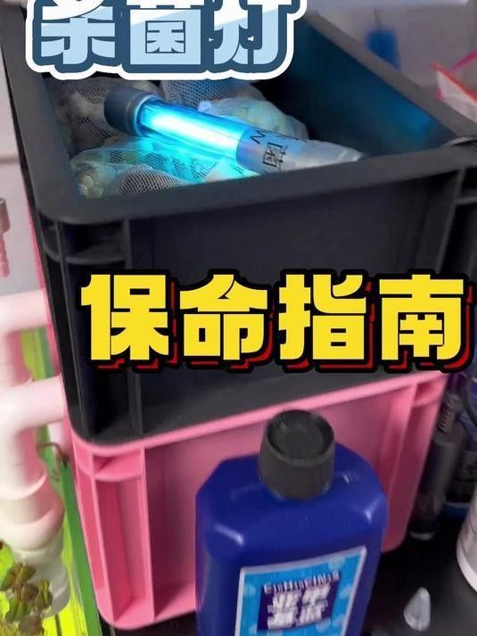 龍魚缸需要放殺菌燈嗎