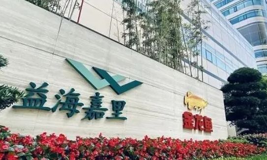 金龍魚一般長多長的魚：金龍魚一般長多長？