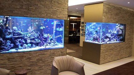 祥龍水族優惠活動查詢：祥龍水族優惠活動