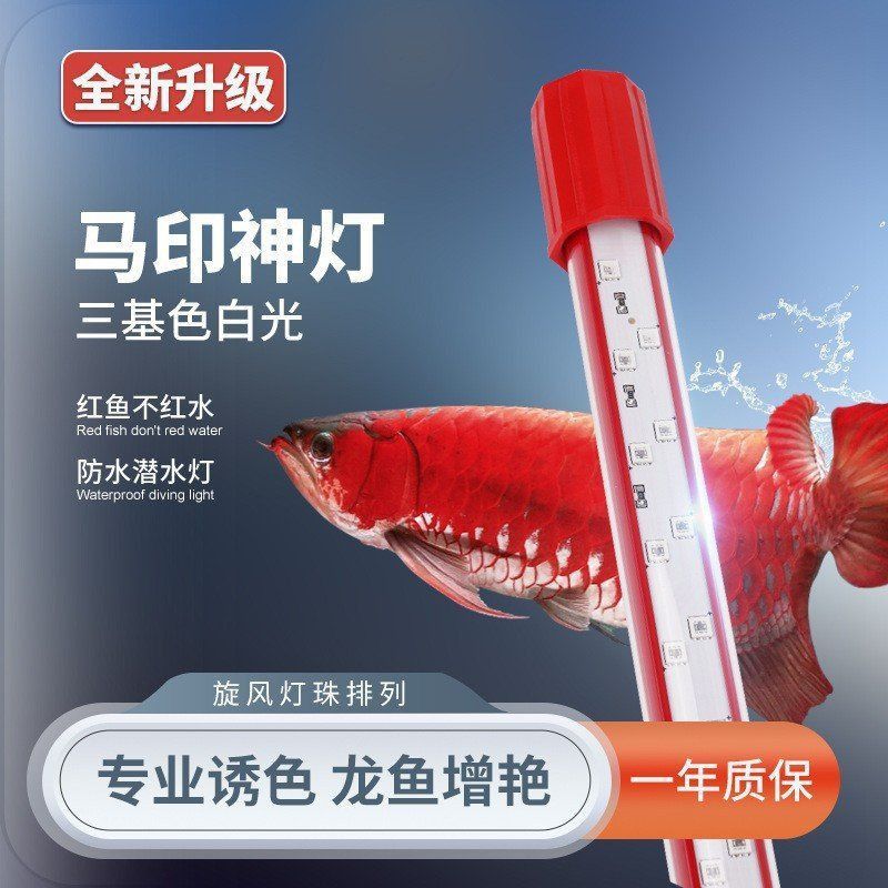 馬印燈不能隨便照
