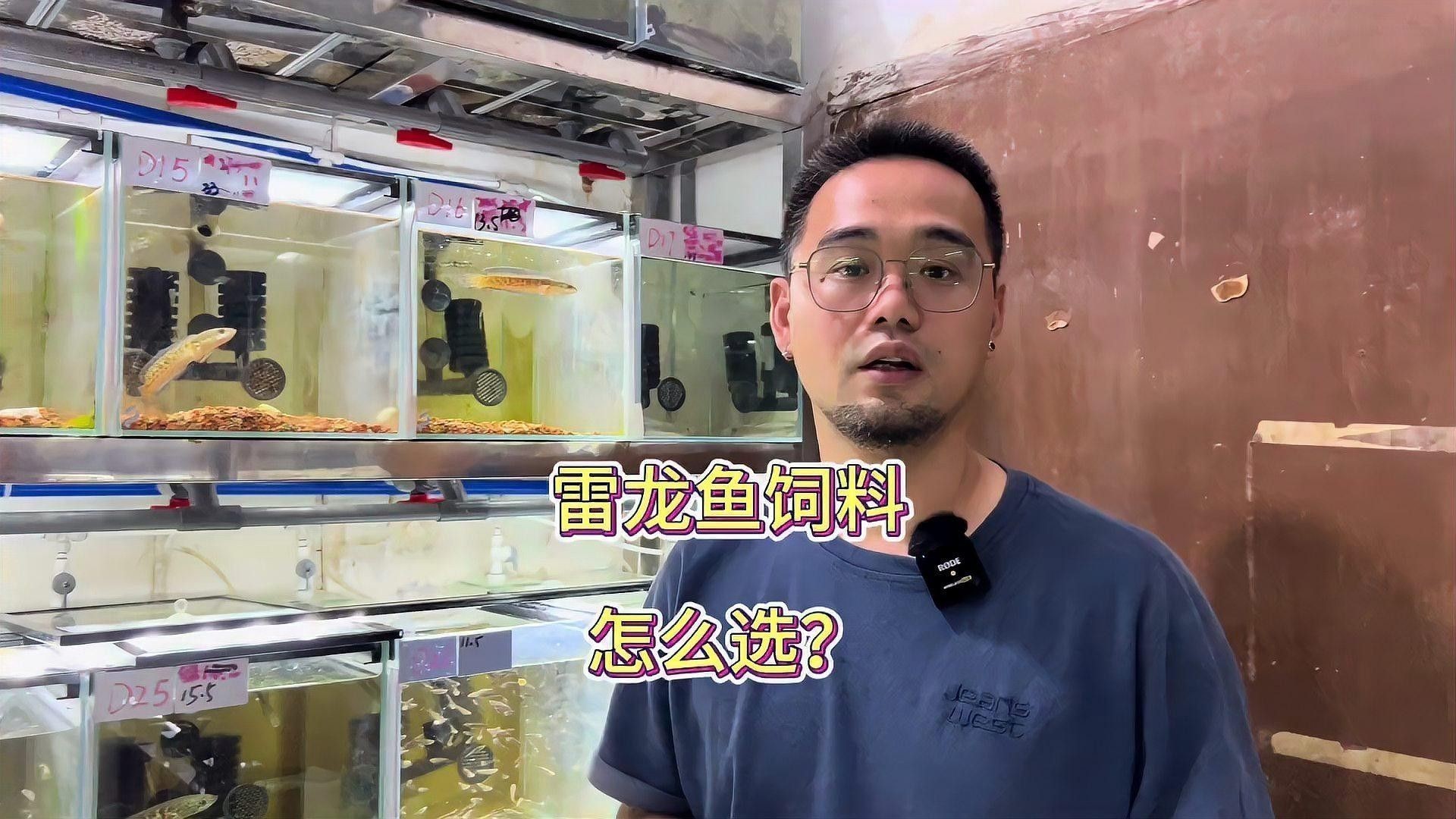 雷龍魚吃啥長得快一點