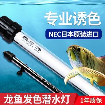 龍魚發(fā)色專用燈圖片：龍魚專用燈的色溫選擇技巧