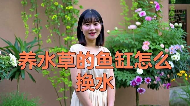 過背金龍魚缸水草換水步驟 過背金龍魚缸水草換水步驟 龍魚百科 第1張