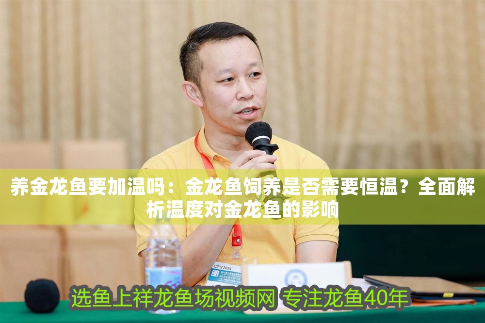 養(yǎng)金龍魚要加溫嗎：金龍魚飼養(yǎng)是否需要恒溫？全面解析溫度對(duì)金龍魚的影響