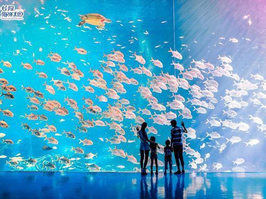 珠海水族館選龍魚世家水族館贊