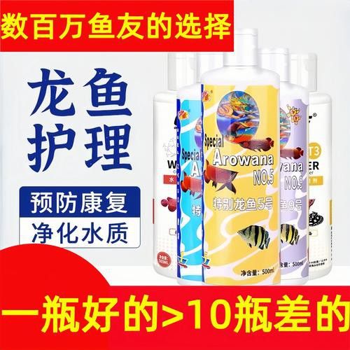 金龍魚散尾怎么治療圖片